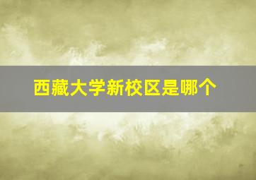 西藏大学新校区是哪个