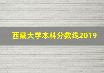 西藏大学本科分数线2019