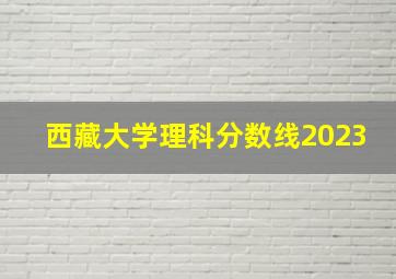 西藏大学理科分数线2023