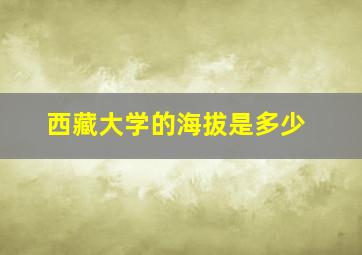 西藏大学的海拔是多少