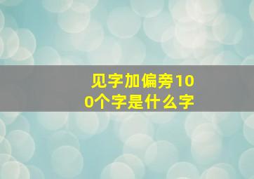 见字加偏旁100个字是什么字