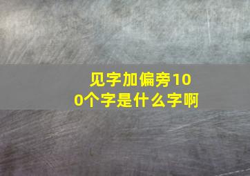 见字加偏旁100个字是什么字啊