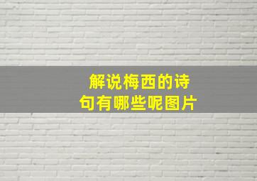 解说梅西的诗句有哪些呢图片