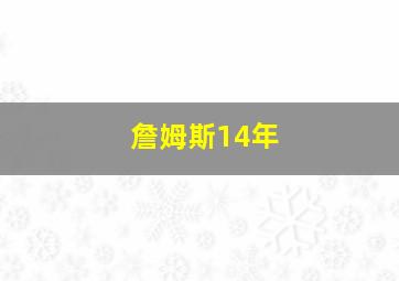 詹姆斯14年