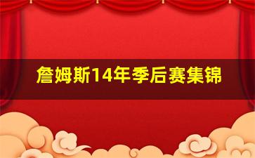 詹姆斯14年季后赛集锦