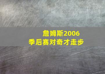 詹姆斯2006季后赛对奇才走步