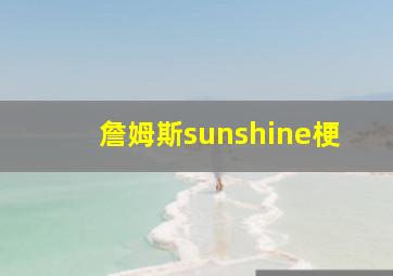 詹姆斯sunshine梗