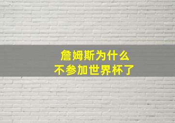 詹姆斯为什么不参加世界杯了