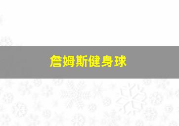 詹姆斯健身球