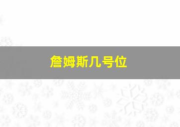 詹姆斯几号位