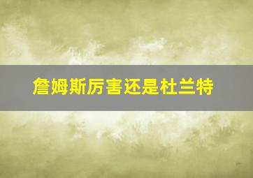 詹姆斯厉害还是杜兰特