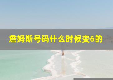 詹姆斯号码什么时候变6的