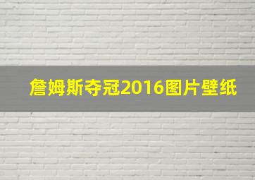 詹姆斯夺冠2016图片壁纸