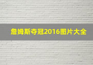 詹姆斯夺冠2016图片大全