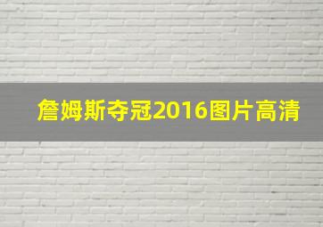 詹姆斯夺冠2016图片高清