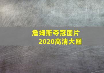 詹姆斯夺冠图片2020高清大图