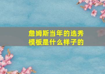 詹姆斯当年的选秀模板是什么样子的