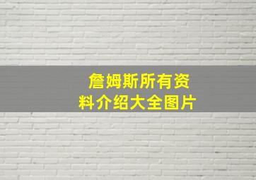 詹姆斯所有资料介绍大全图片