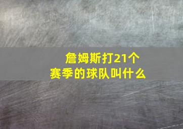 詹姆斯打21个赛季的球队叫什么