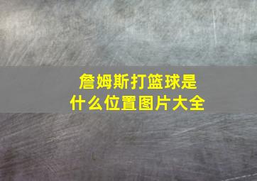 詹姆斯打篮球是什么位置图片大全