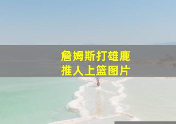 詹姆斯打雄鹿推人上篮图片