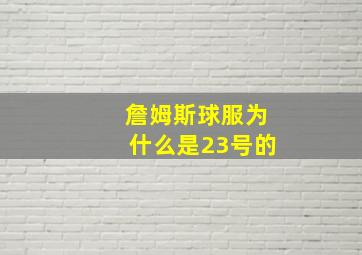 詹姆斯球服为什么是23号的