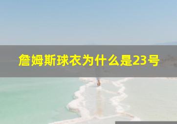 詹姆斯球衣为什么是23号