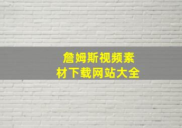 詹姆斯视频素材下载网站大全