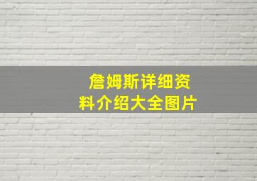 詹姆斯详细资料介绍大全图片