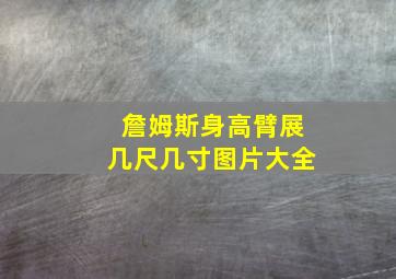 詹姆斯身高臂展几尺几寸图片大全