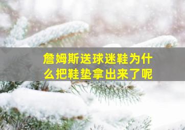 詹姆斯送球迷鞋为什么把鞋垫拿出来了呢