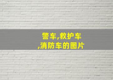 警车,救护车,消防车的图片