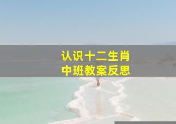 认识十二生肖中班教案反思