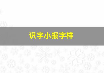 识字小报字样