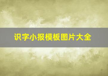 识字小报模板图片大全