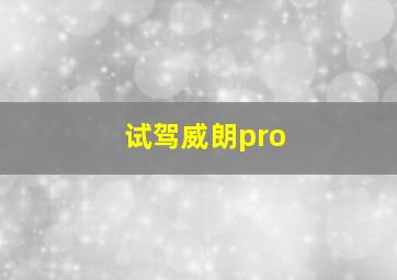 试驾威朗pro