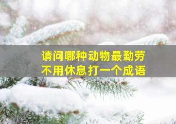 请问哪种动物最勤劳不用休息打一个成语