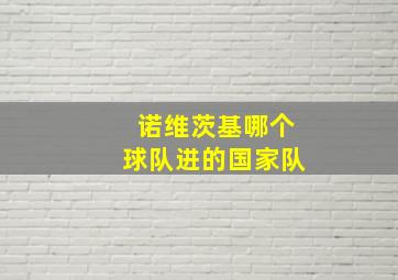 诺维茨基哪个球队进的国家队