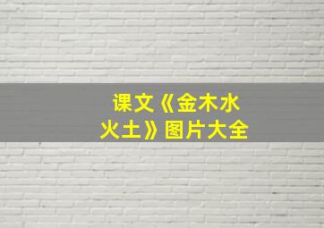 课文《金木水火土》图片大全