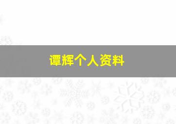 谭辉个人资料