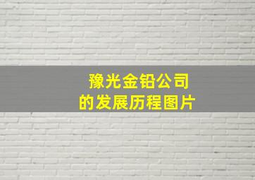 豫光金铅公司的发展历程图片