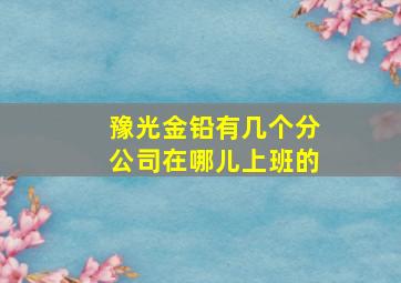 豫光金铅有几个分公司在哪儿上班的