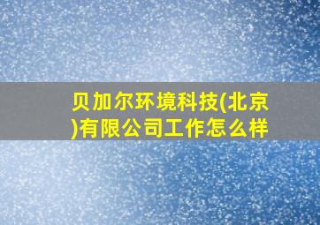 贝加尔环境科技(北京)有限公司工作怎么样