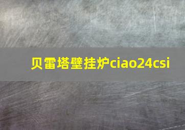 贝雷塔壁挂炉ciao24csi