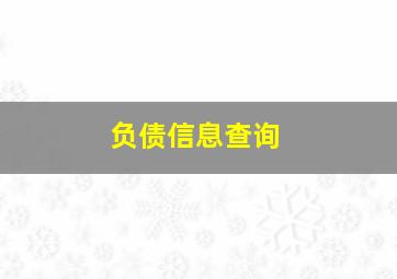 负债信息查询