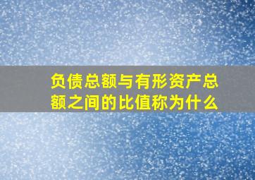 负债总额与有形资产总额之间的比值称为什么