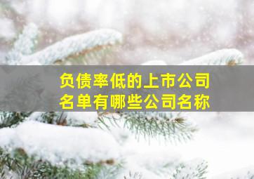 负债率低的上市公司名单有哪些公司名称