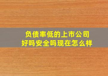 负债率低的上市公司好吗安全吗现在怎么样