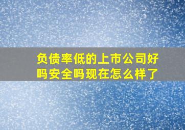 负债率低的上市公司好吗安全吗现在怎么样了