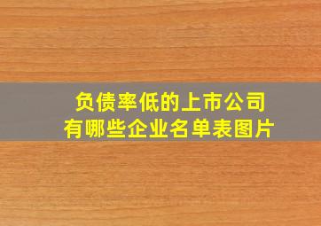 负债率低的上市公司有哪些企业名单表图片